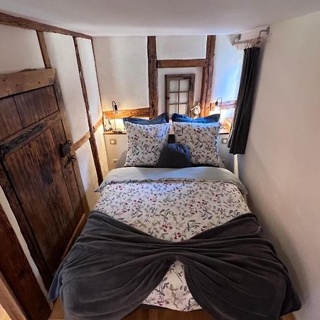 Villa Le Petit Cocon Dambach Esterno foto