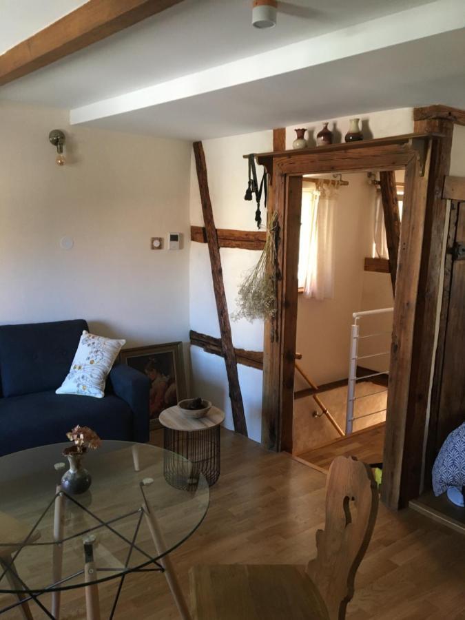 Villa Le Petit Cocon Dambach Esterno foto