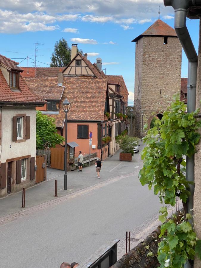 Villa Le Petit Cocon Dambach Esterno foto